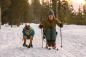 Preview: Ruffwear Vert Jacket Aurora Teal Gr. XL Preview: Ruffwear Vert Jacket Aurora Teal Gr. XL